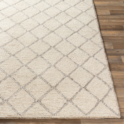 Whistler WSR-2300 2' x 3' Handmade Accent Rug