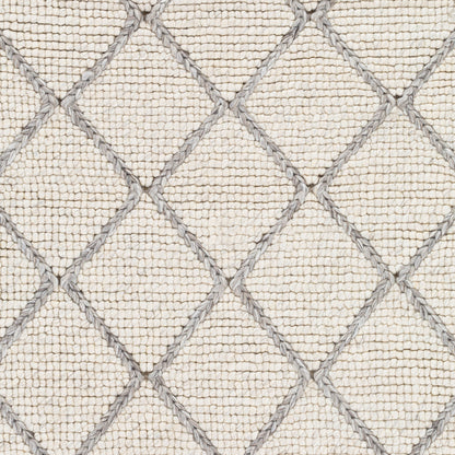 Whistler WSR-2300 2' x 3' Handmade Accent Rug
