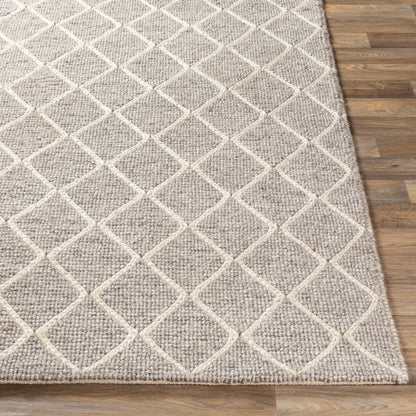 Whistler WSR-2303 2' x 3' Handmade Accent Rug