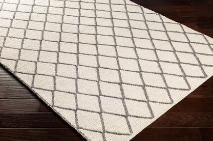 Whistler WSR-2304 Hand Woven Rug