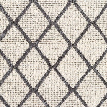 Whistler WSR-2304 2' x 3' Handmade Accent Rug