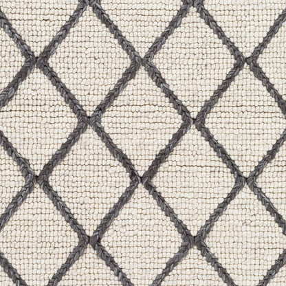Whistler WSR-2304 Hand Woven Rug