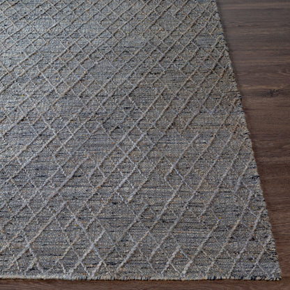 Watford WTF-2300 2' x 3' Handmade Accent Rug