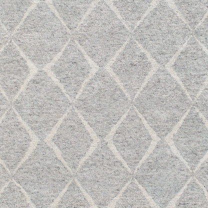 Zara ZAR-2304 2' x 3' Handmade Accent Rug
