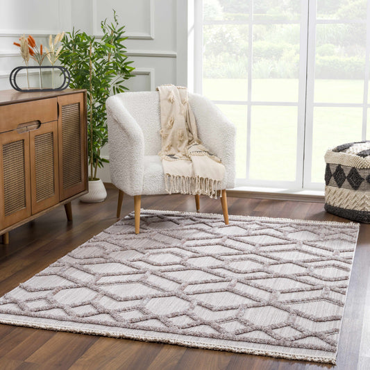Zaragoza ZRZ-2304 Machine Woven Rug