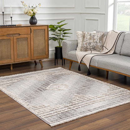 Zaragoza ZRZ-2305 Machine Woven Rug