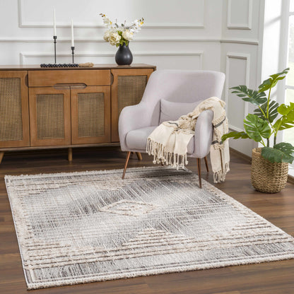 Zaragoza ZRZ-2305 Machine Woven Rug