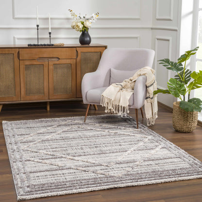Zaragoza ZRZ-2313 Machine Woven Rug