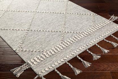 Zanafi Tassels ZTS-2306 2' x 3' Handmade Wool Accent Rug