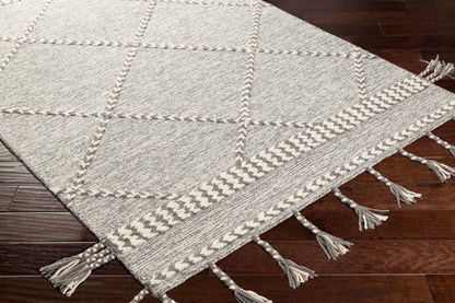 Zanafi Tassels ZTS-2306 Hand Tufted Rug