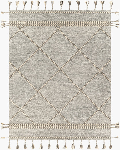 Zanafi Tassels ZTS-2306 2' x 3' Handmade Wool Accent Rug