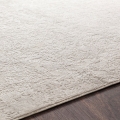Aisha-AIS-2306-Updated Traditional-Rug Outlet USA-4