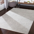 Aisha-AIS-2306-Updated Traditional-Rug Outlet USA-5