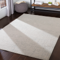 Aisha-AIS-2309-Updated Traditional-Rug Outlet USA-5