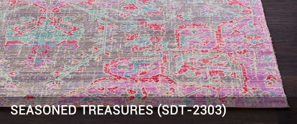 Seasoned Treasure-SDT-2303-Rug Outlet USA